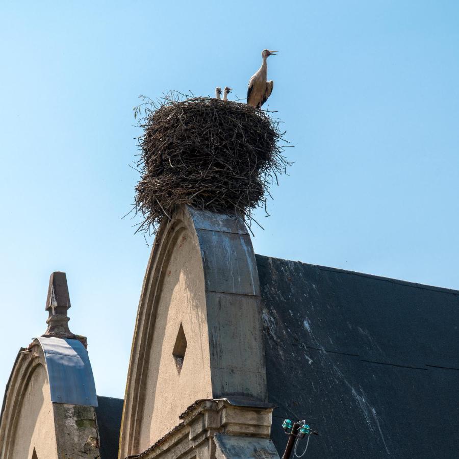 Zamek Sarny - Schloss Scharfeneck Клодзько Екстер'єр фото